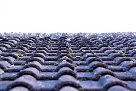 anti-mousse pour toiture