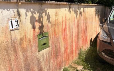 Nettoyage de muret et remise en peinture : Élimination des traces noires à Hames-Boucres